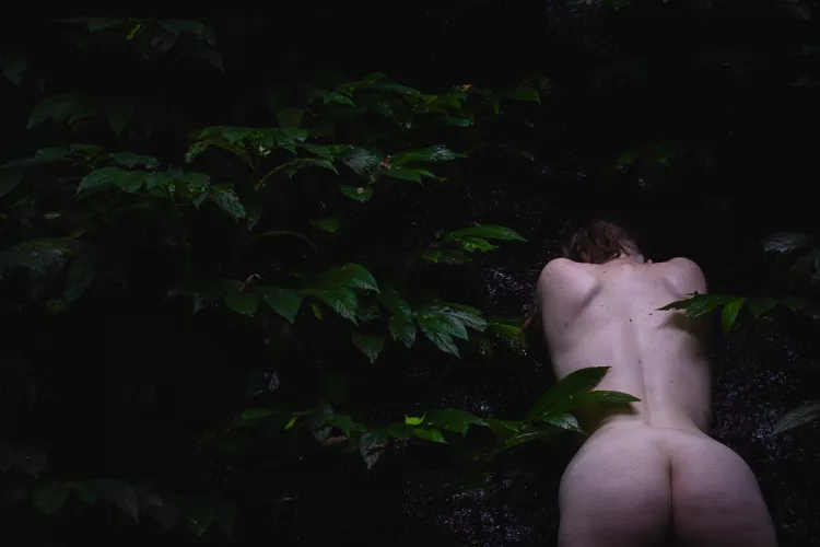 Being reclaimed by the earth by DonnaMaeTrichs