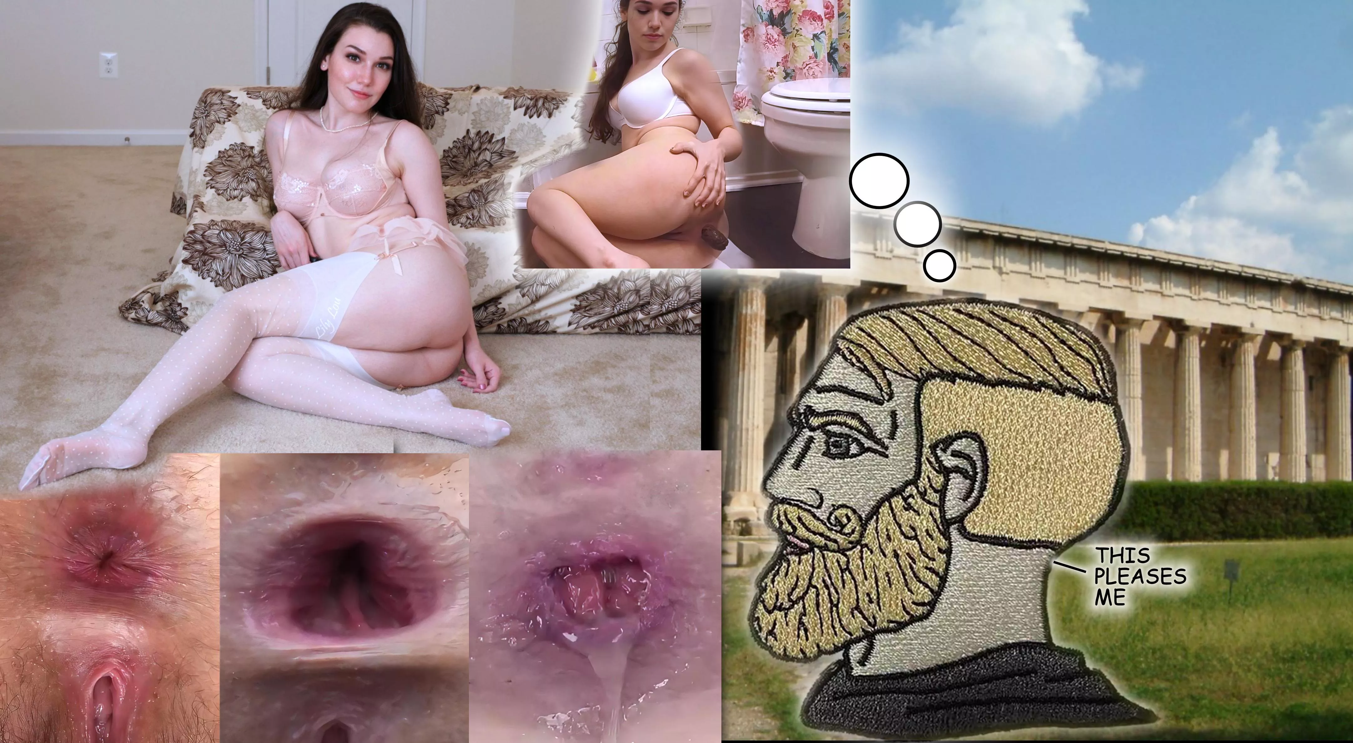 Besides enjoying the usual fare, what advanced ItsHerAssholers imagine when they see a beautiful woman posted by Destined2SuckAsshole