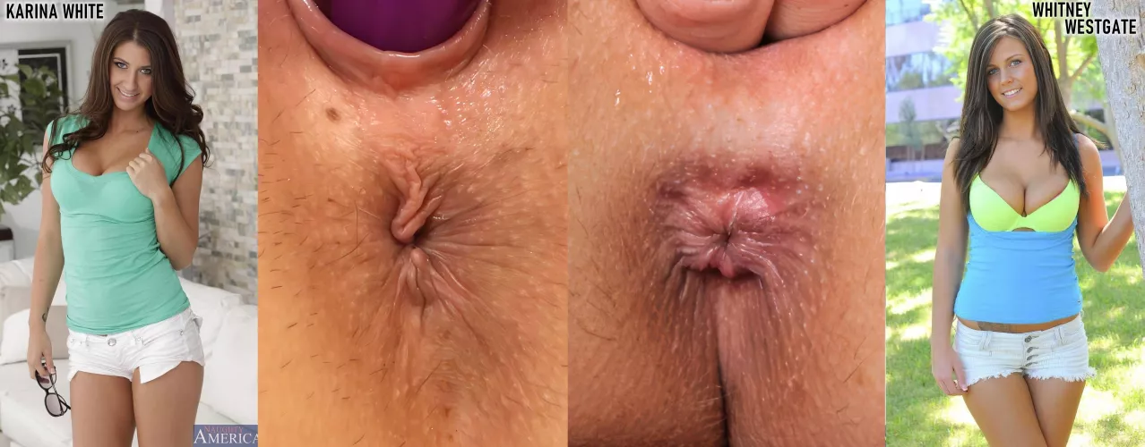 Choose your college slut anus! by Destined2SuckAsshole