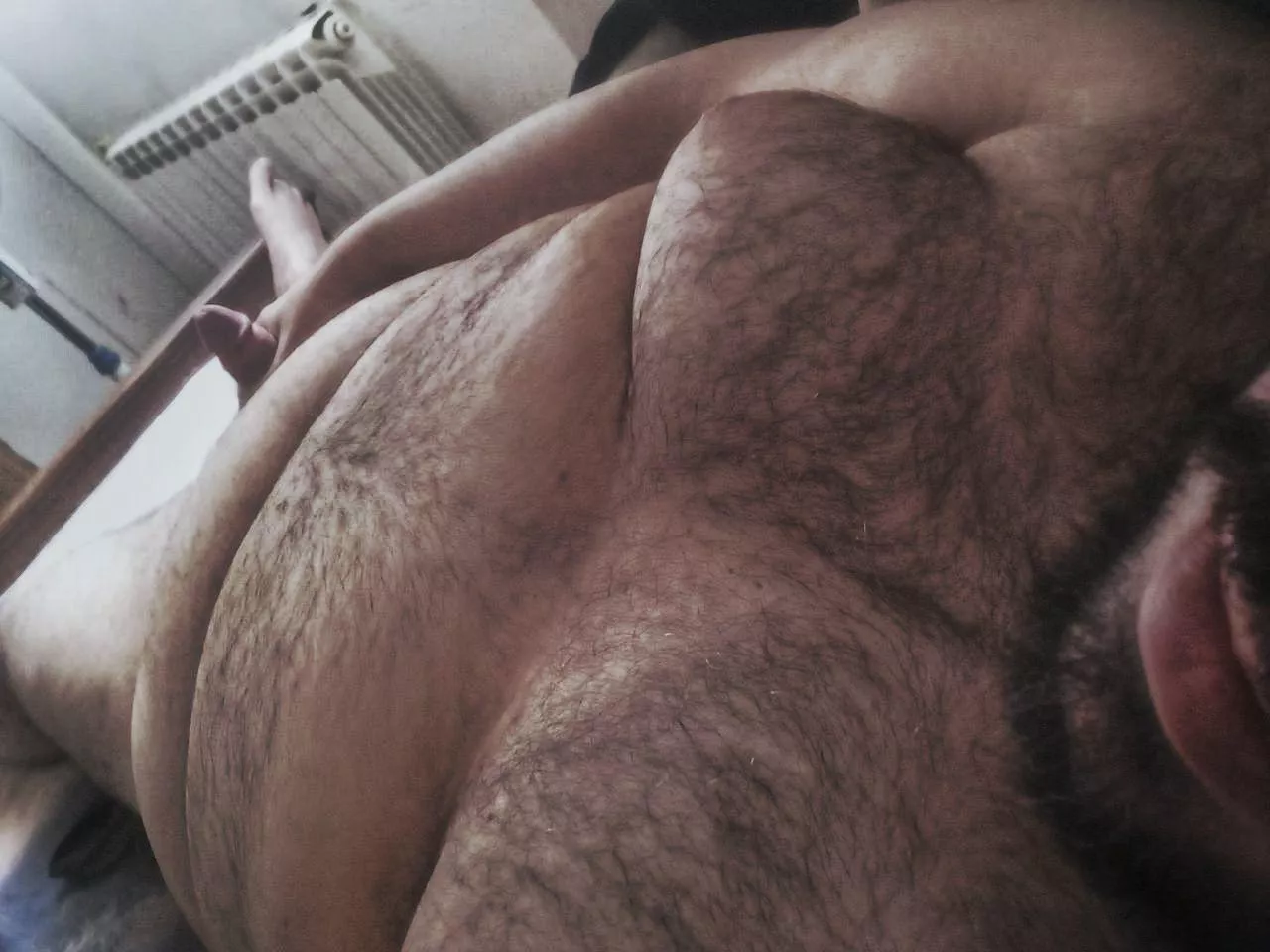 Chubby bear ready for cuffing season warm cuddles (30) by Longjumping-Context4
