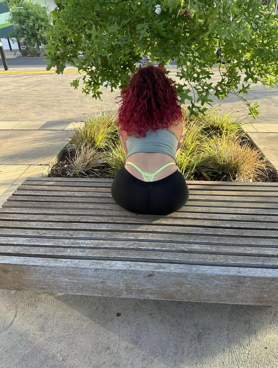 Cute Little Tail posted by Whaletailally