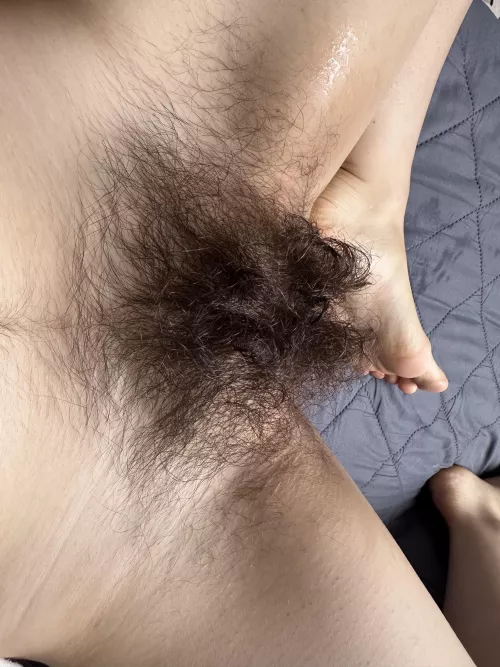 Don't judge me because I enjoy having such a huge bush by Creative-Strength-17