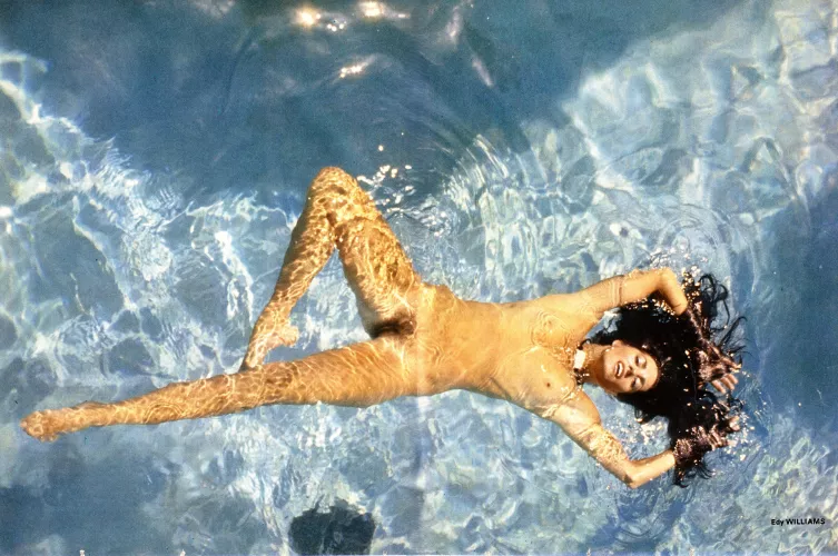 Edy Williams by UncleSquiffy