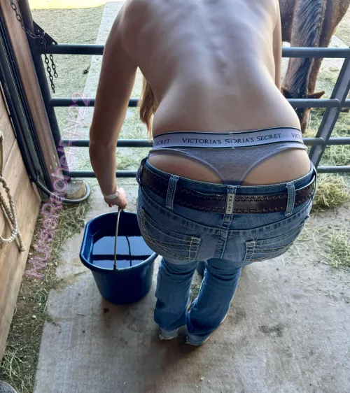 Even country girls get a barn tail every once in a while! by nurserachelRN22