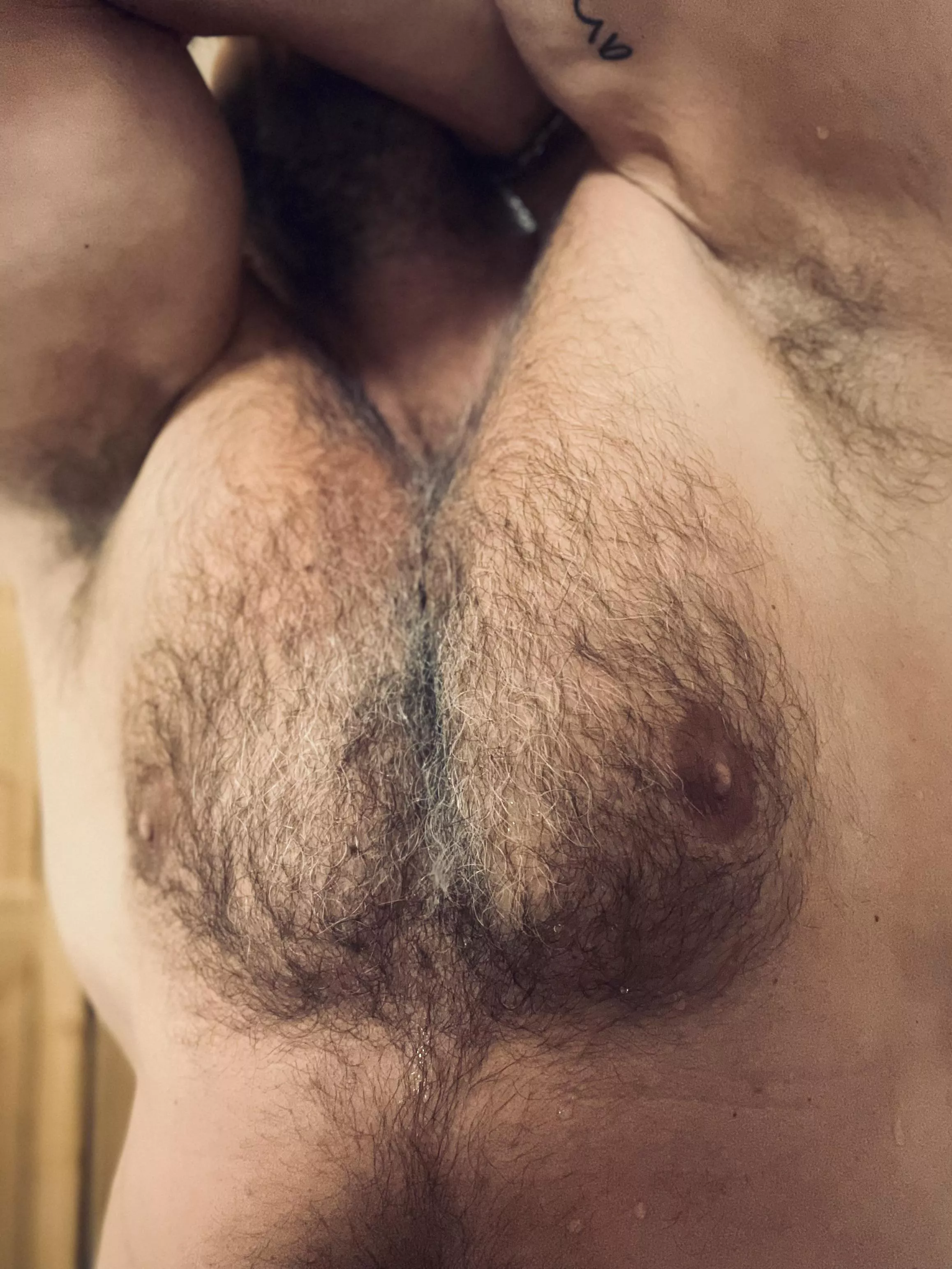 Furry and sweaty * HotGymAddict posted by CryptographerBig2790