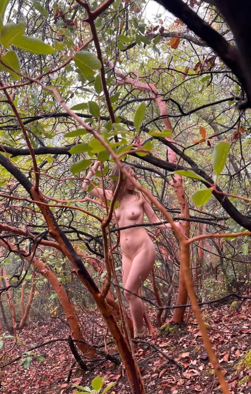 I keep exploring local forests :) by SwiftyFoxxx