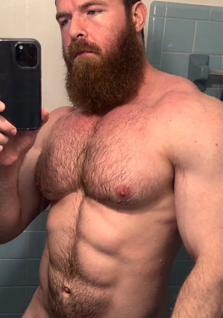I will always accept more body hair  posted by pec_inspector