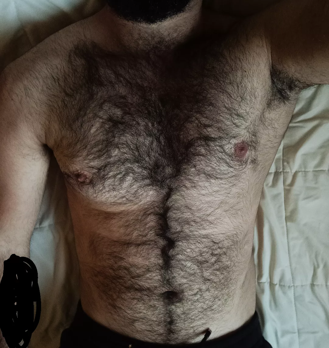 It's cold ... what about a cuddle ? posted by gggoolldd1007