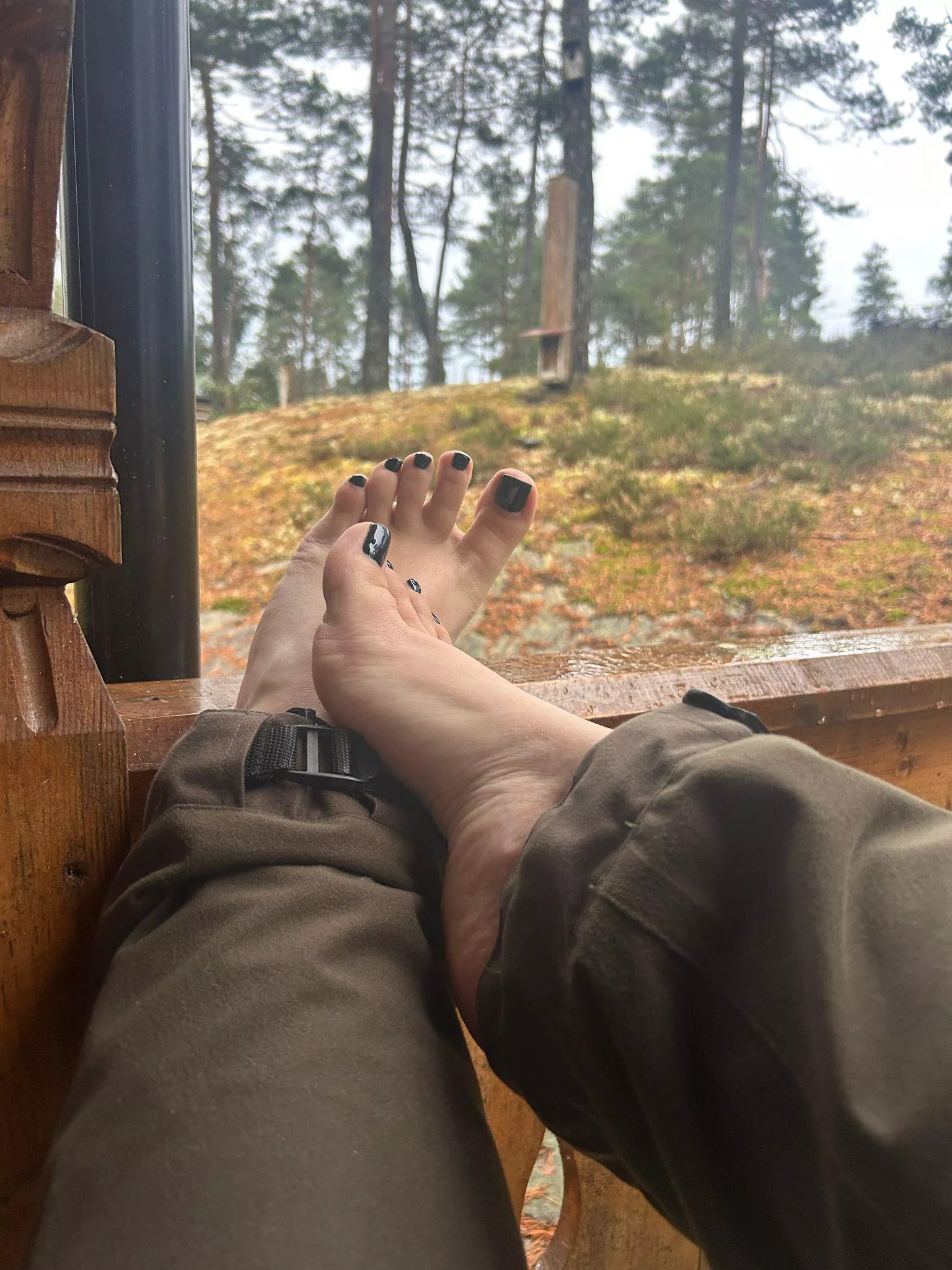 It's good to stretch your feet after a walk in the forest posted by ConstantNectarine305