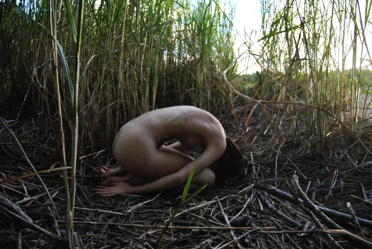 Just as one tree more… by franuella88