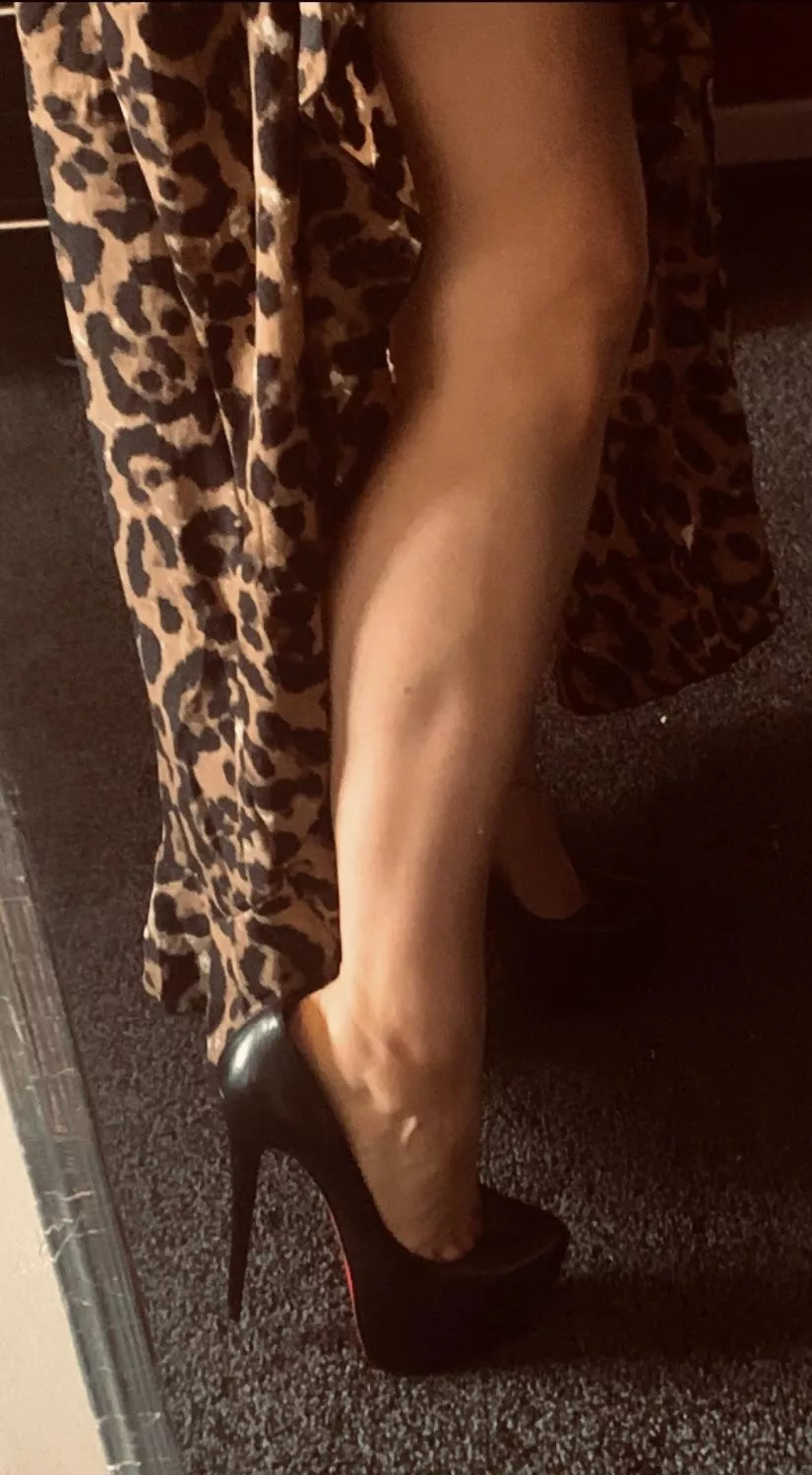 Leopard print is my favourite  posted by Anxiety_Annie789