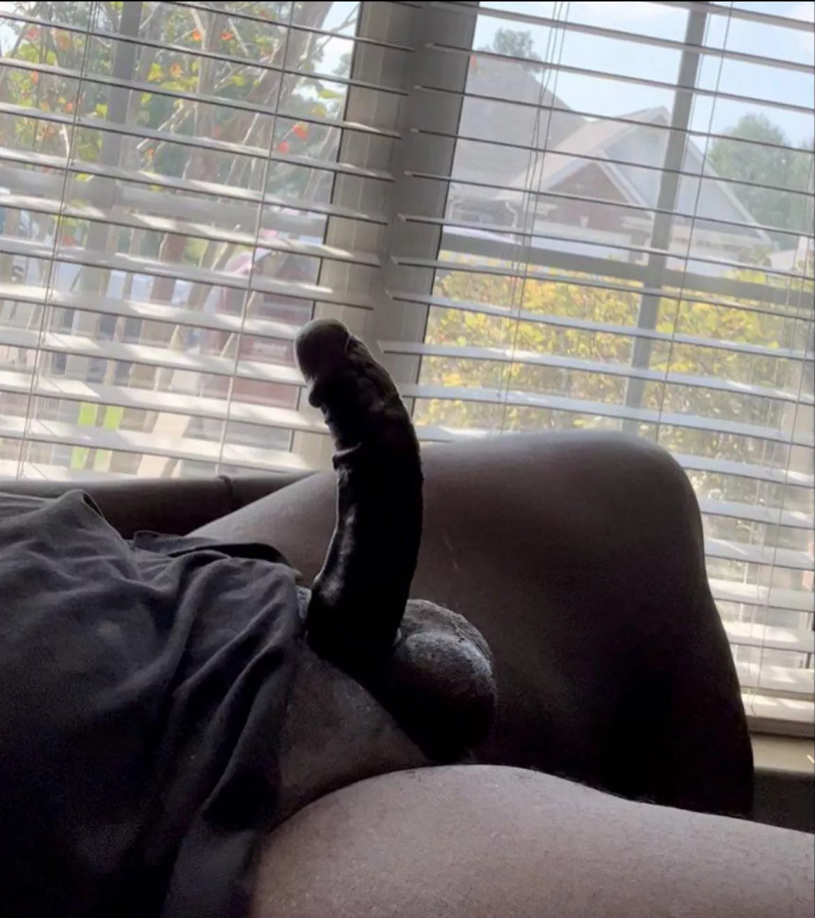 Let your wife ride  posted by Inevitable_Talk96