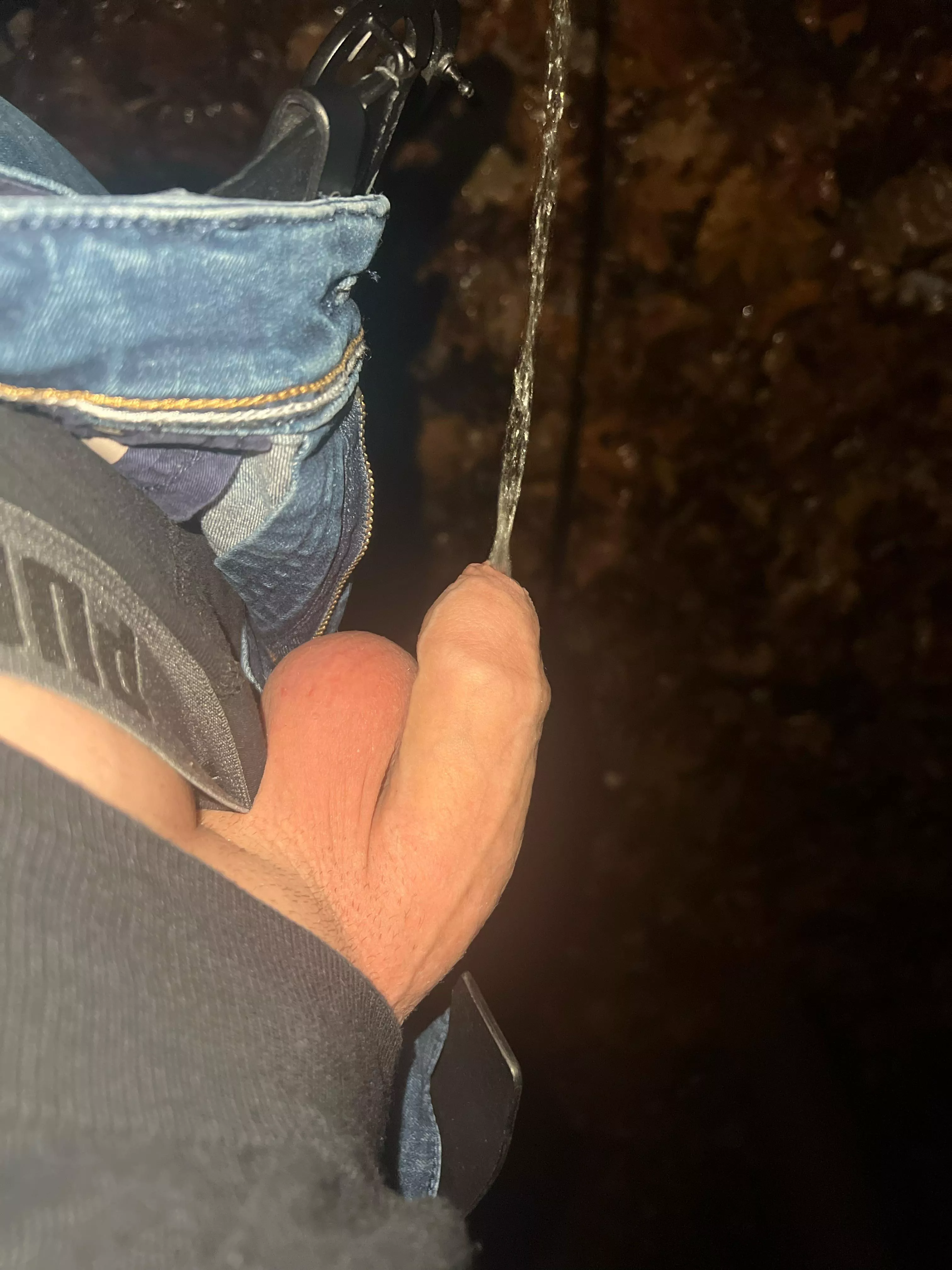 Outdoor piss posted by 185x50