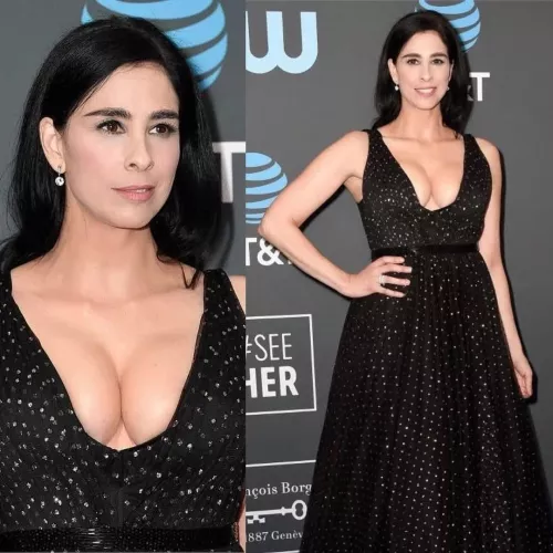 Sarah Silverman by pmb0077
