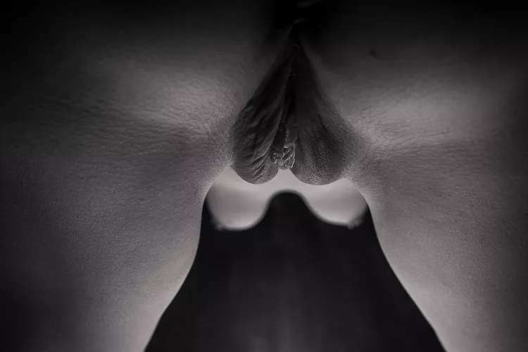 Ses parties sexuelles by magicaldanger