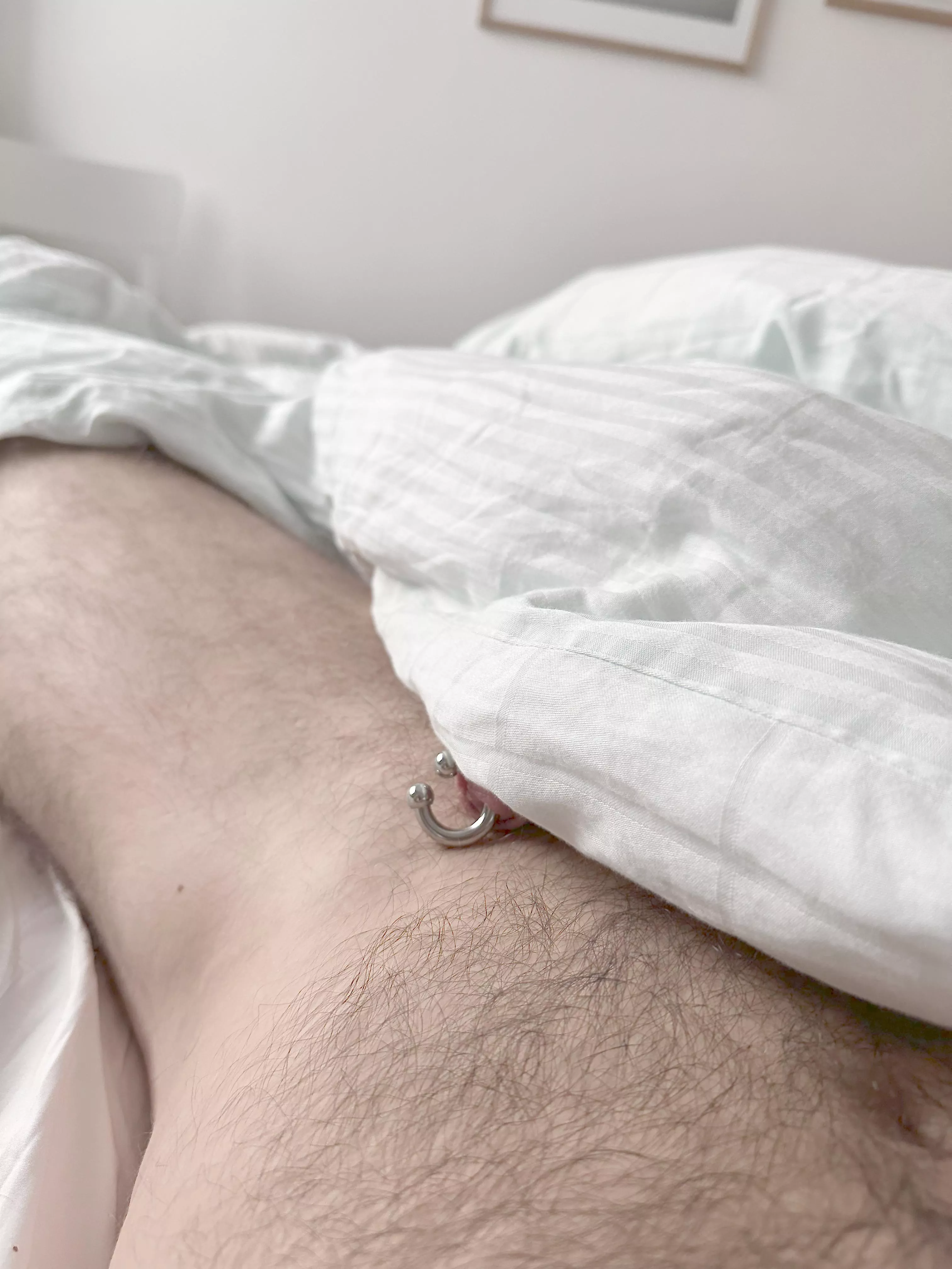 Soft and slow mornings with my little friend playing peekaboo  posted by Stunning-Resting-88