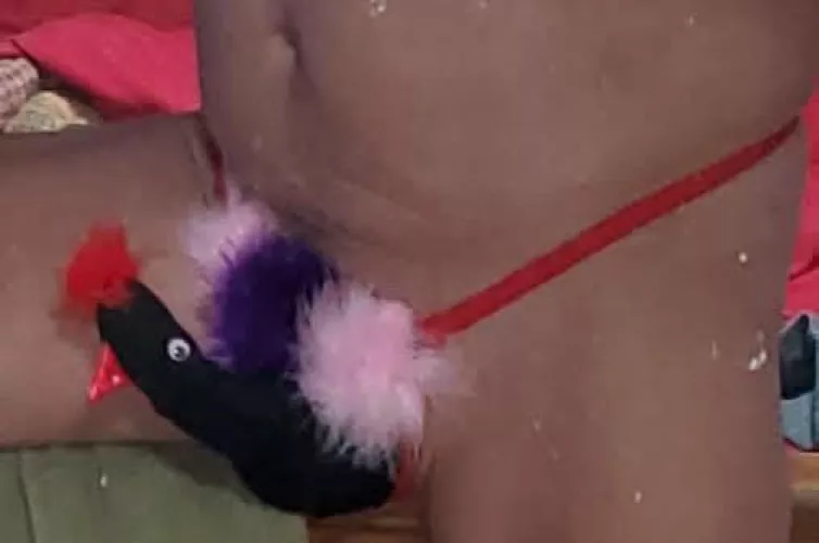 Thanksgiving  by rmpldfrskn49