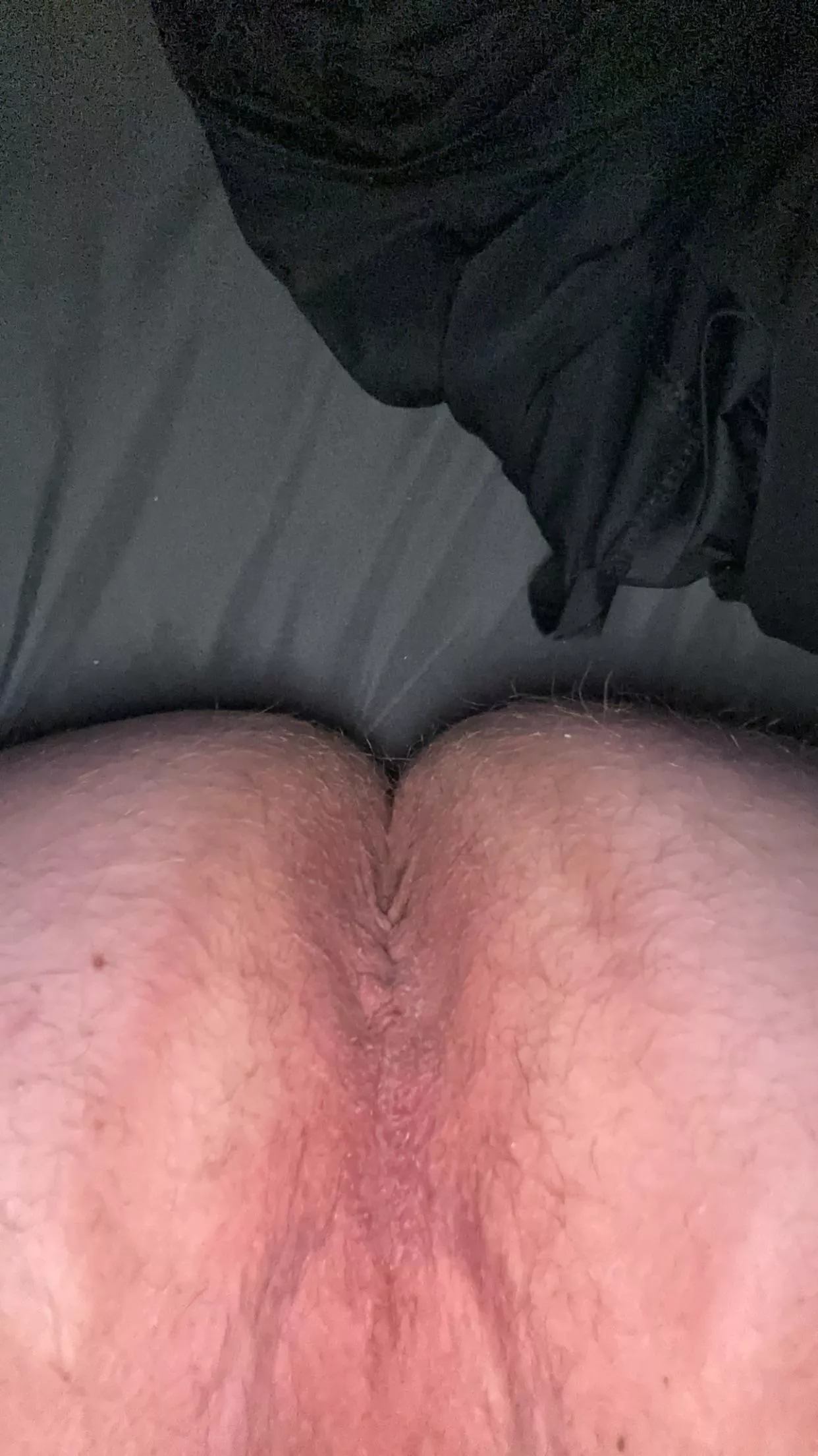 Thoughts? posted by Regular-Fee-9861