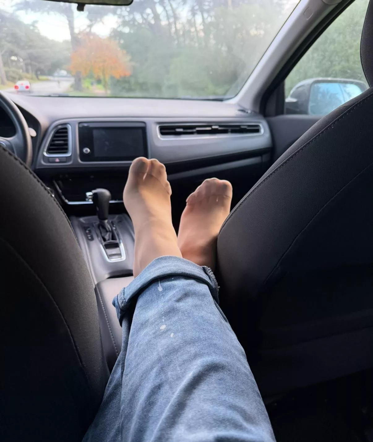 What would you say if you were my uber driver? posted by kaylaf19