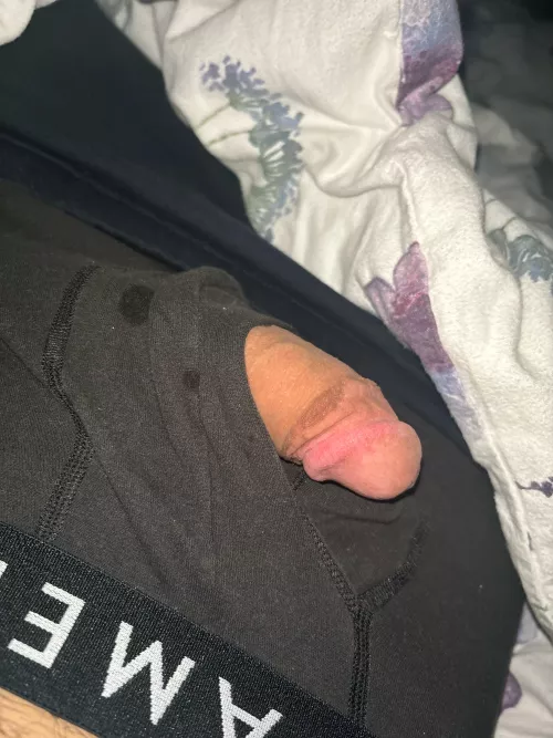 Would you suck ? by Cheap_Equipment67