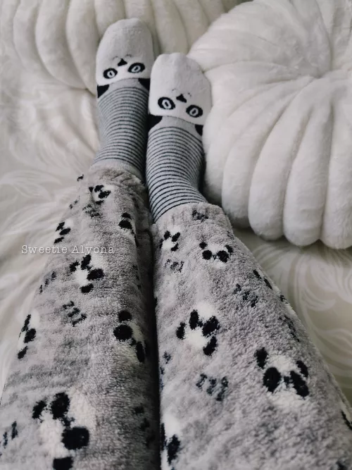Cute and cozy 🐼 by SweetieAlyona