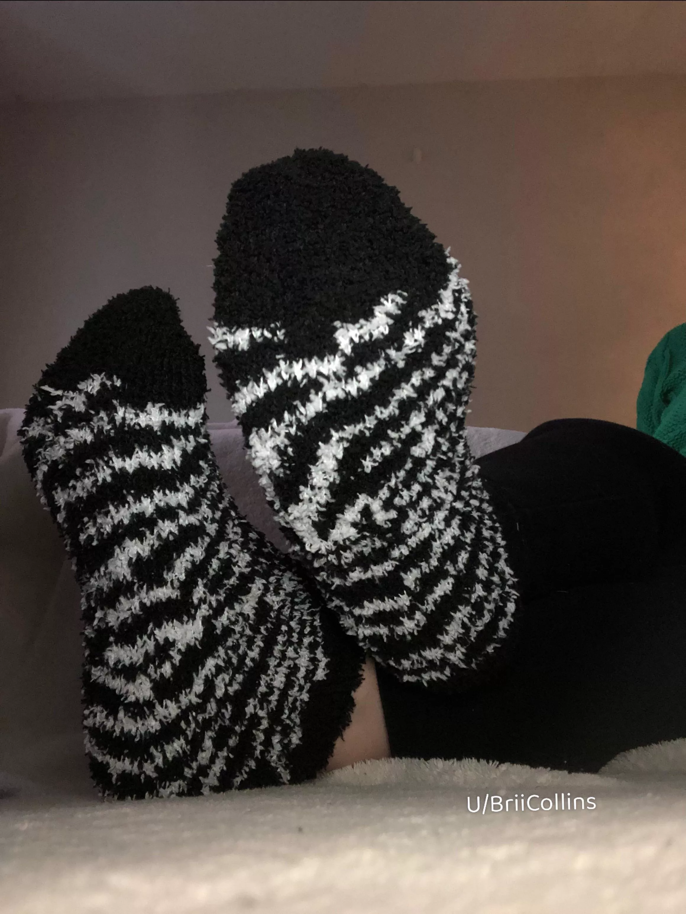 Just incase you’re into comfy socks  posted by BriiCollins