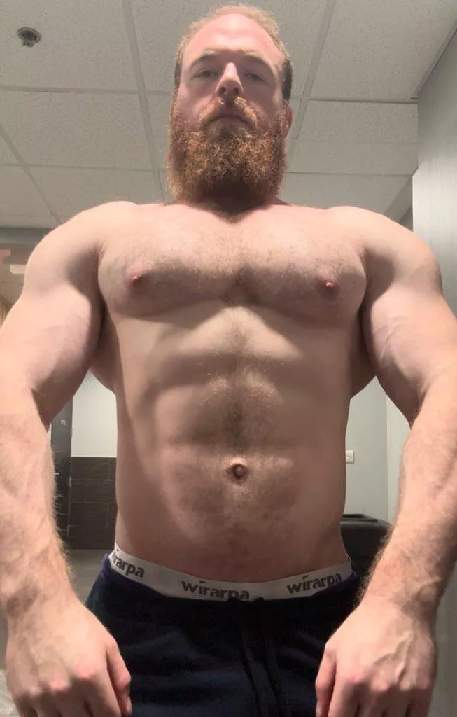 Building my taper for you, bro posted by pec_inspector