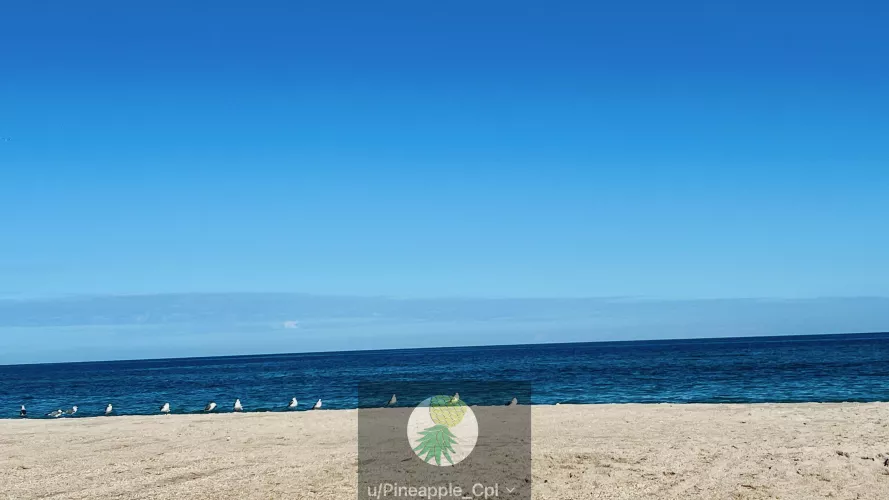 Perfect Day At Playa Today :)  by Pineapple_Cpl