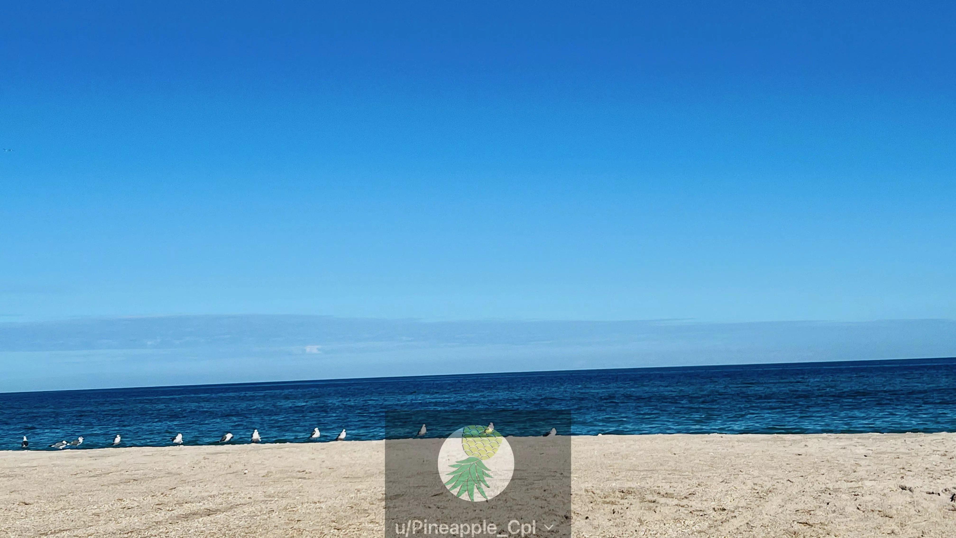 Perfect Day At Playa Today :)  posted by Pineapple_Cpl