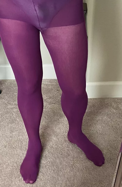 Plum pantyhose by whthoselvr