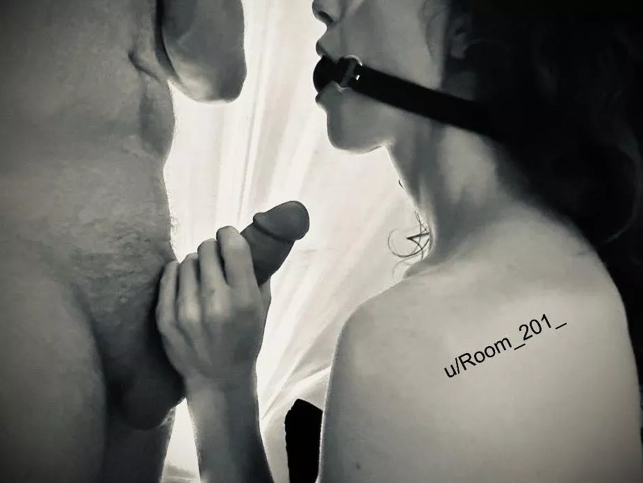 Ready to obey posted by Room_201_