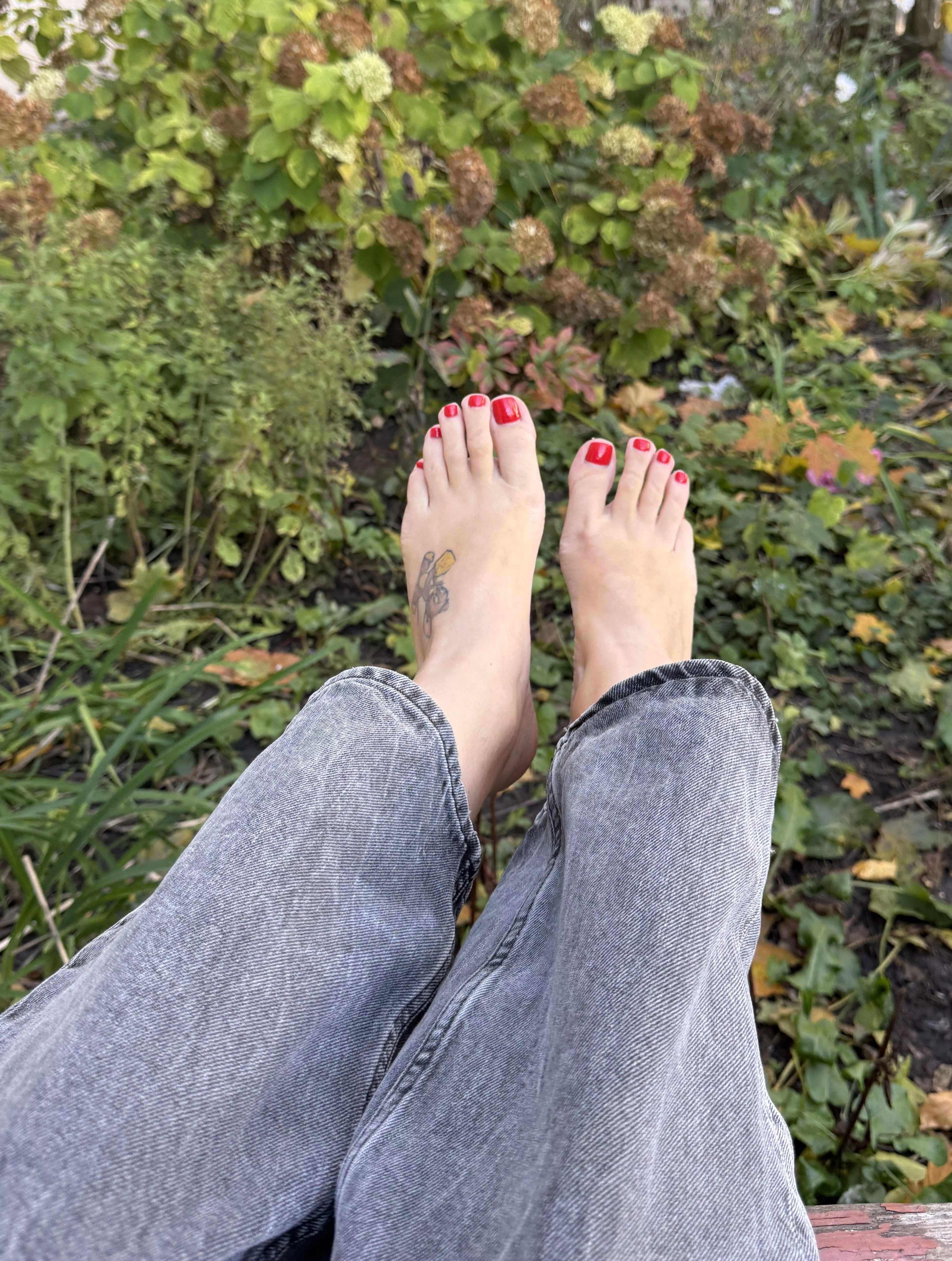 Will you lick my foot as much as I want posted by Forisent