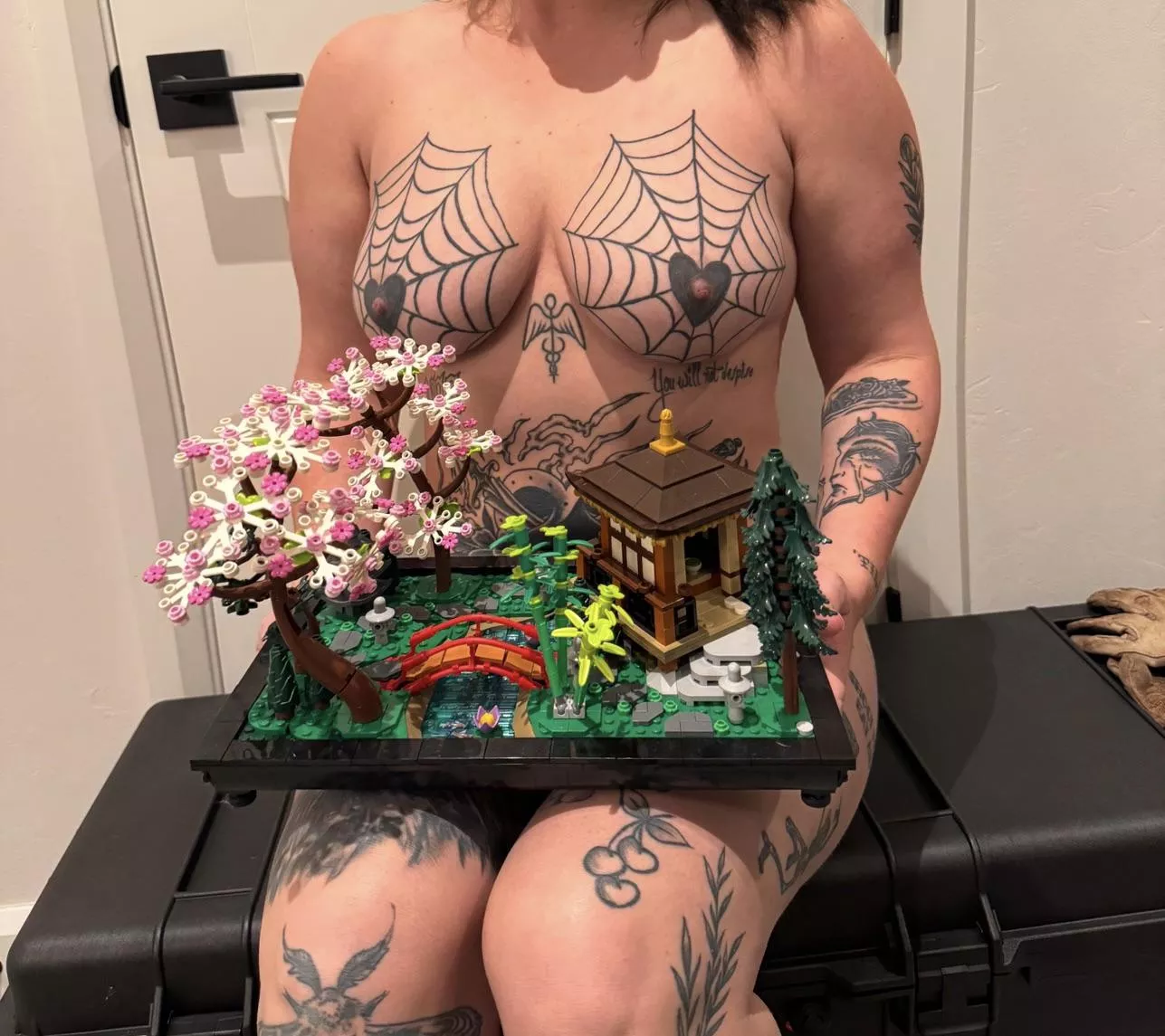 Anyone like to build Legos?  posted by swing_and_shoot