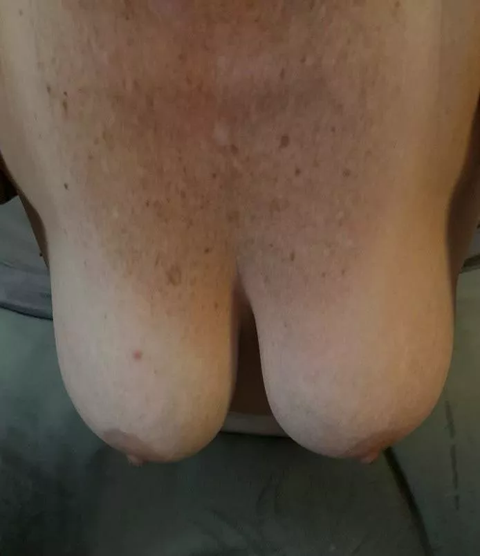 Time to hang out  posted by scout77ih