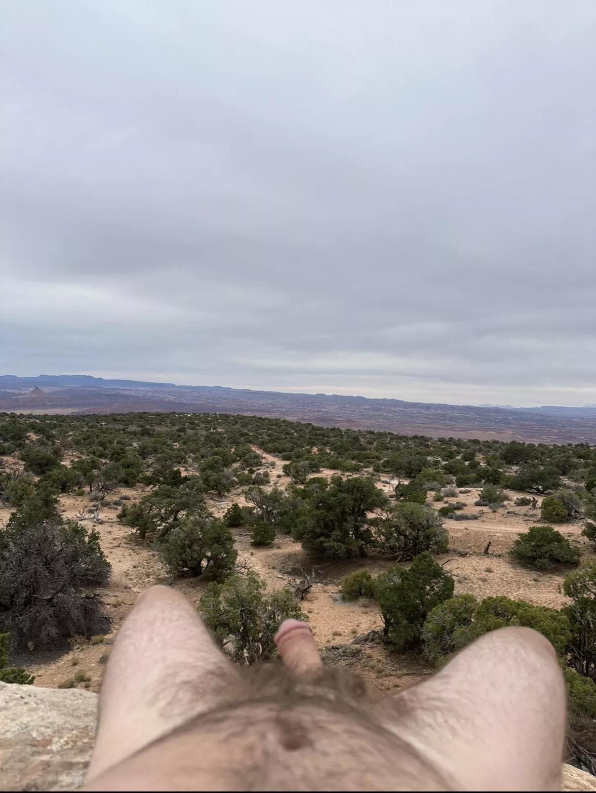 Just laying around  posted by user19911991