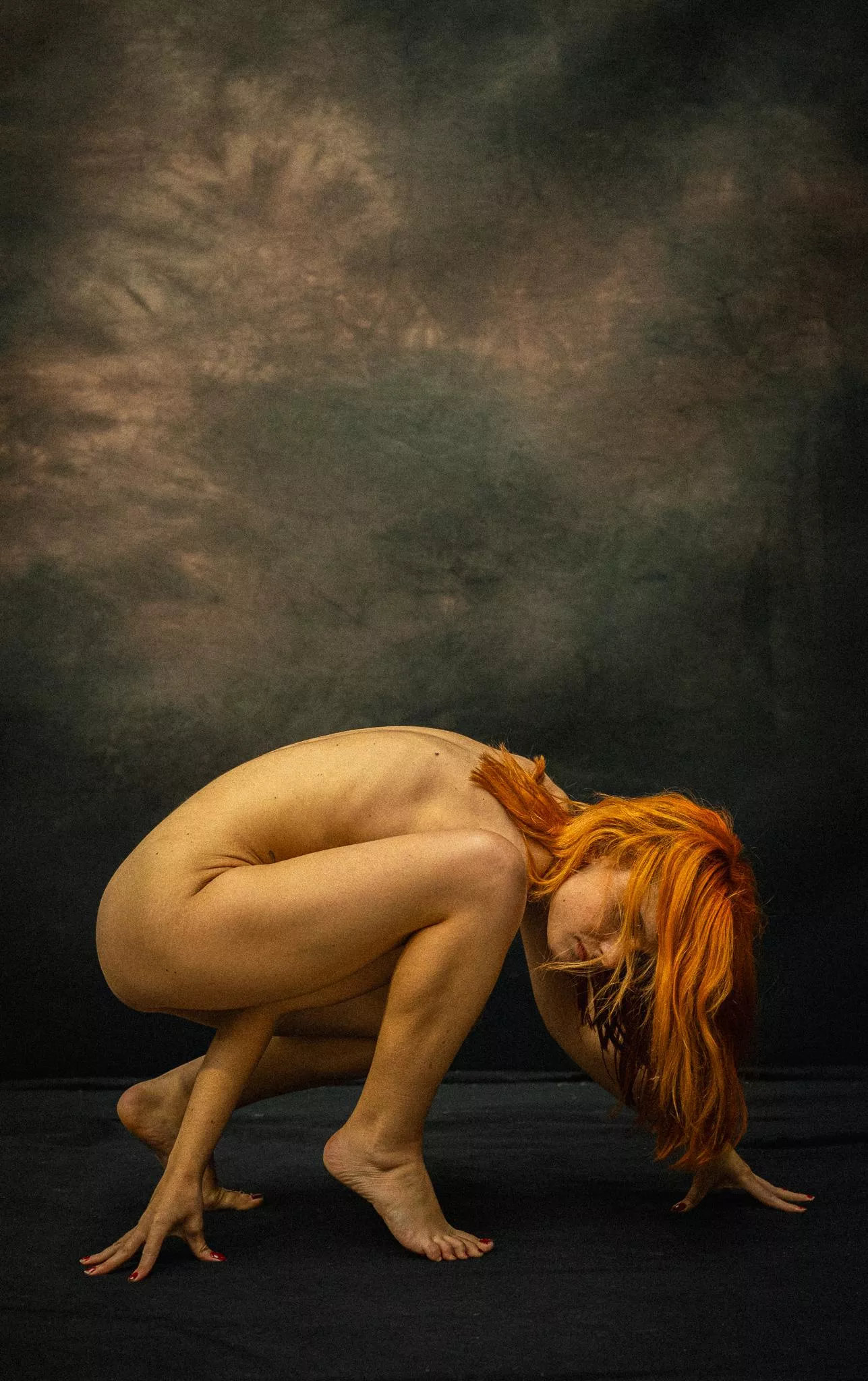 Catarina  posted by reznorek