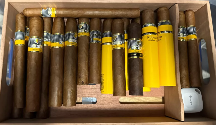 Lovely site indeed by EstateMurky3844