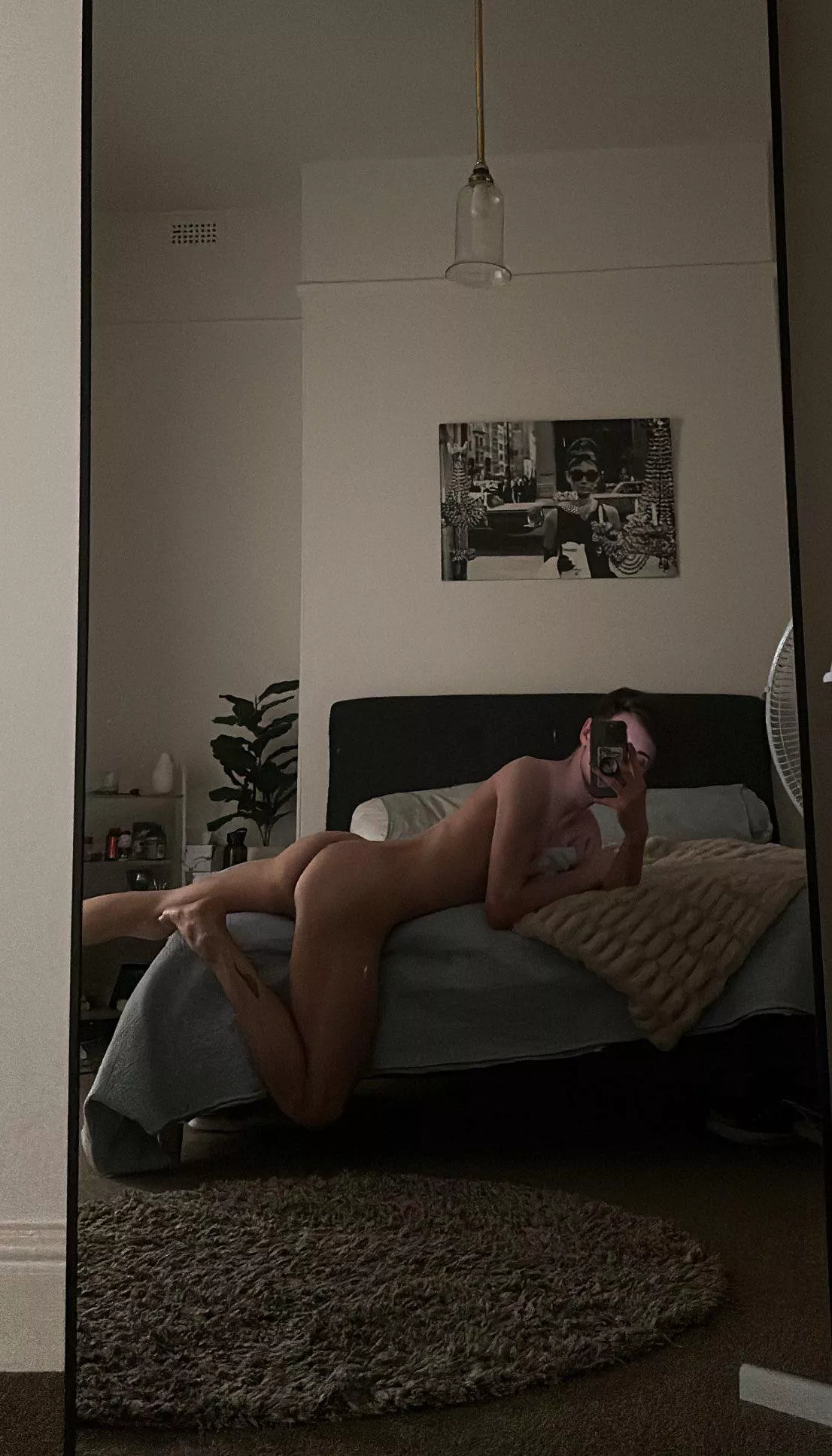 Max (Down Under) posted by Electrical-Tap-2673