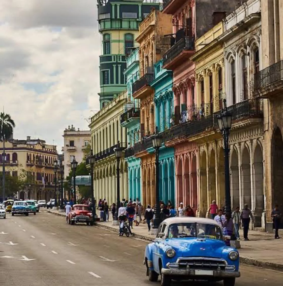 Maximum cigars quantity to take outside Cuba is it really 50 ?? posted by Interesting_Map2441