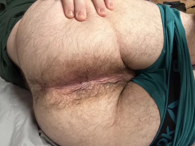 21 sub bottom and still a virgin because I can't find anyone near me who likes a hairy hole by Bored_college_boy