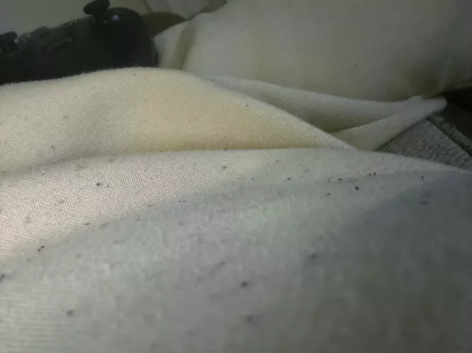 33M just gaming  by Schlong_Bunyan