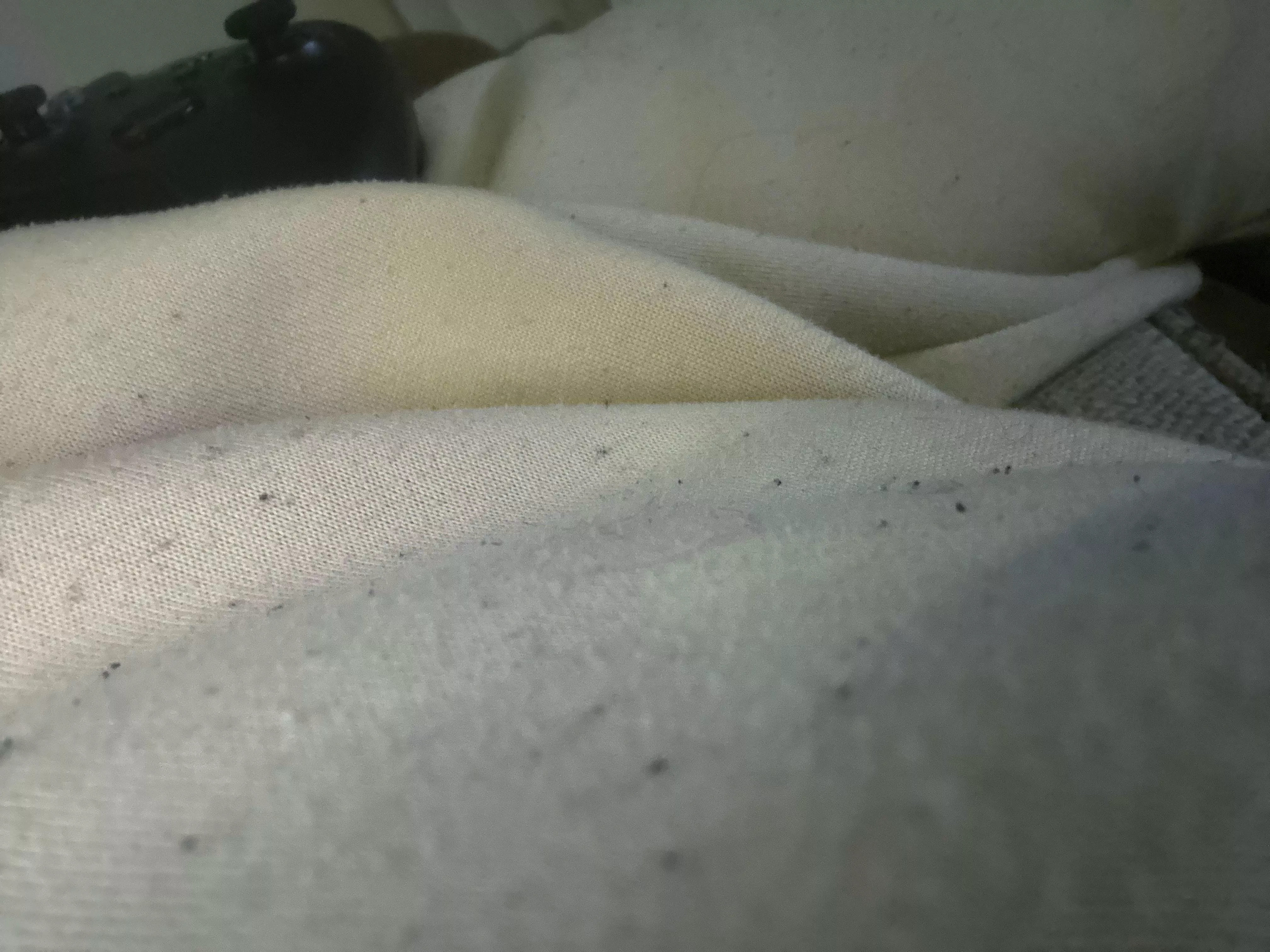 33M just gaming  posted by Schlong_Bunyan