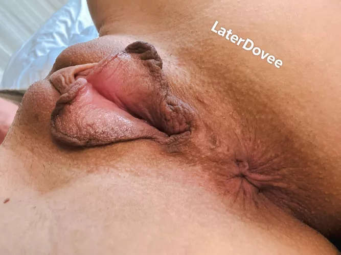 A beautiful pink heart by LaterDovee