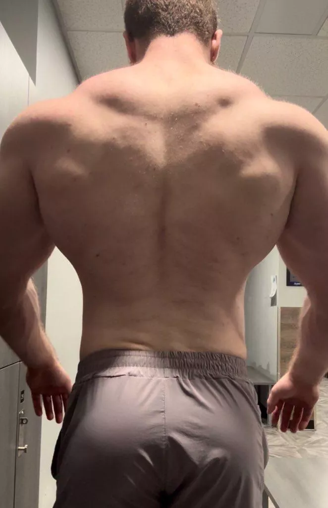 Back day or whatever  posted by pec_inspector
