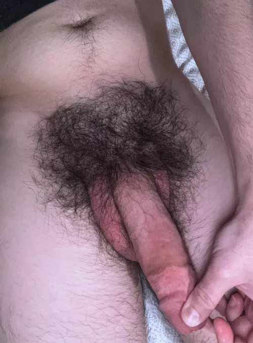 Cock hair is almost halfway to my belly button by hairforest