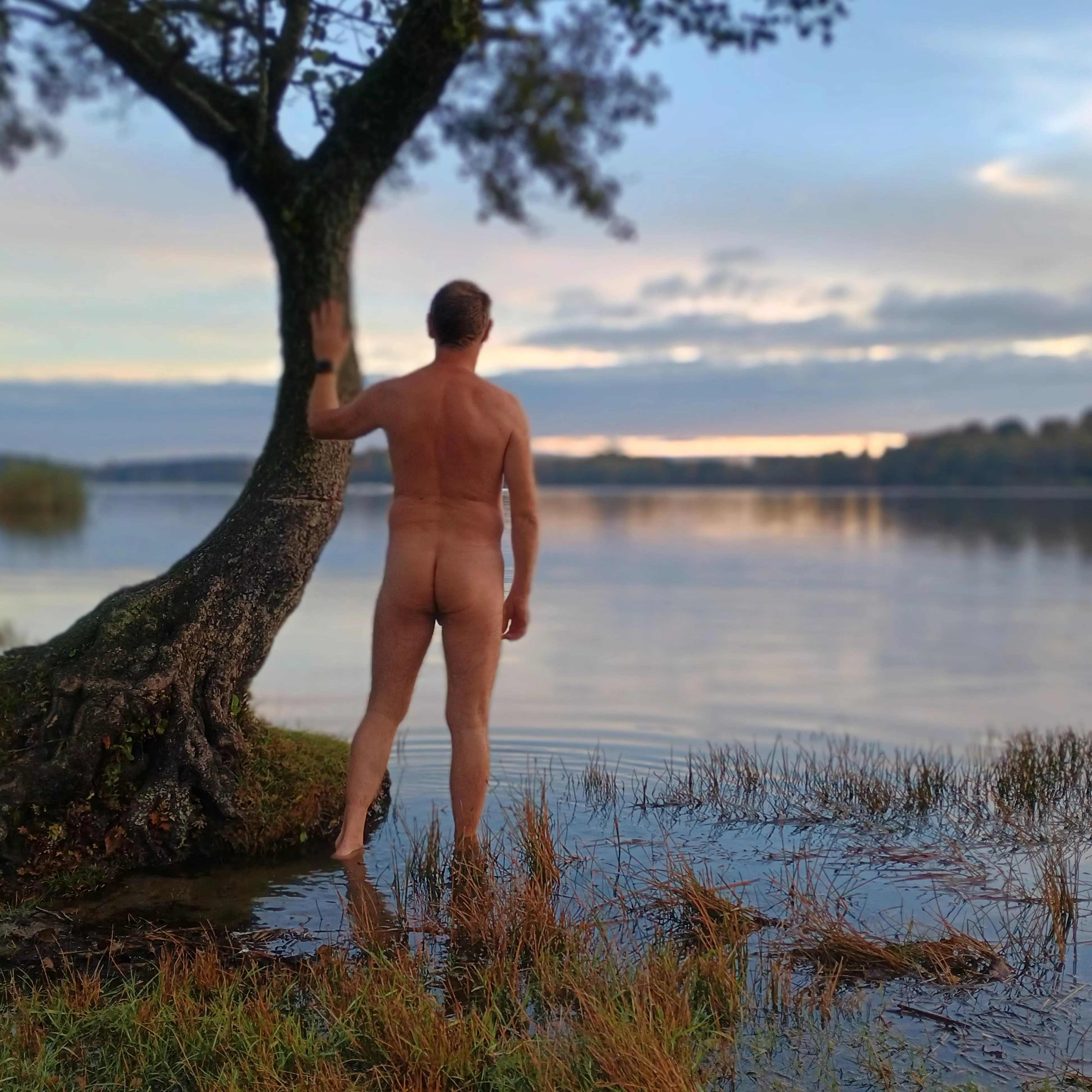 Early morning in Sweden  posted by Oldsaltyswimmer