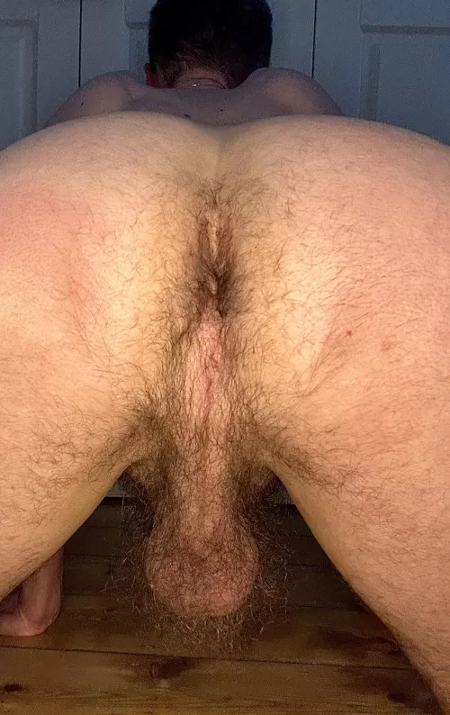 Furry sack, furry crack by No_Falcon_6938