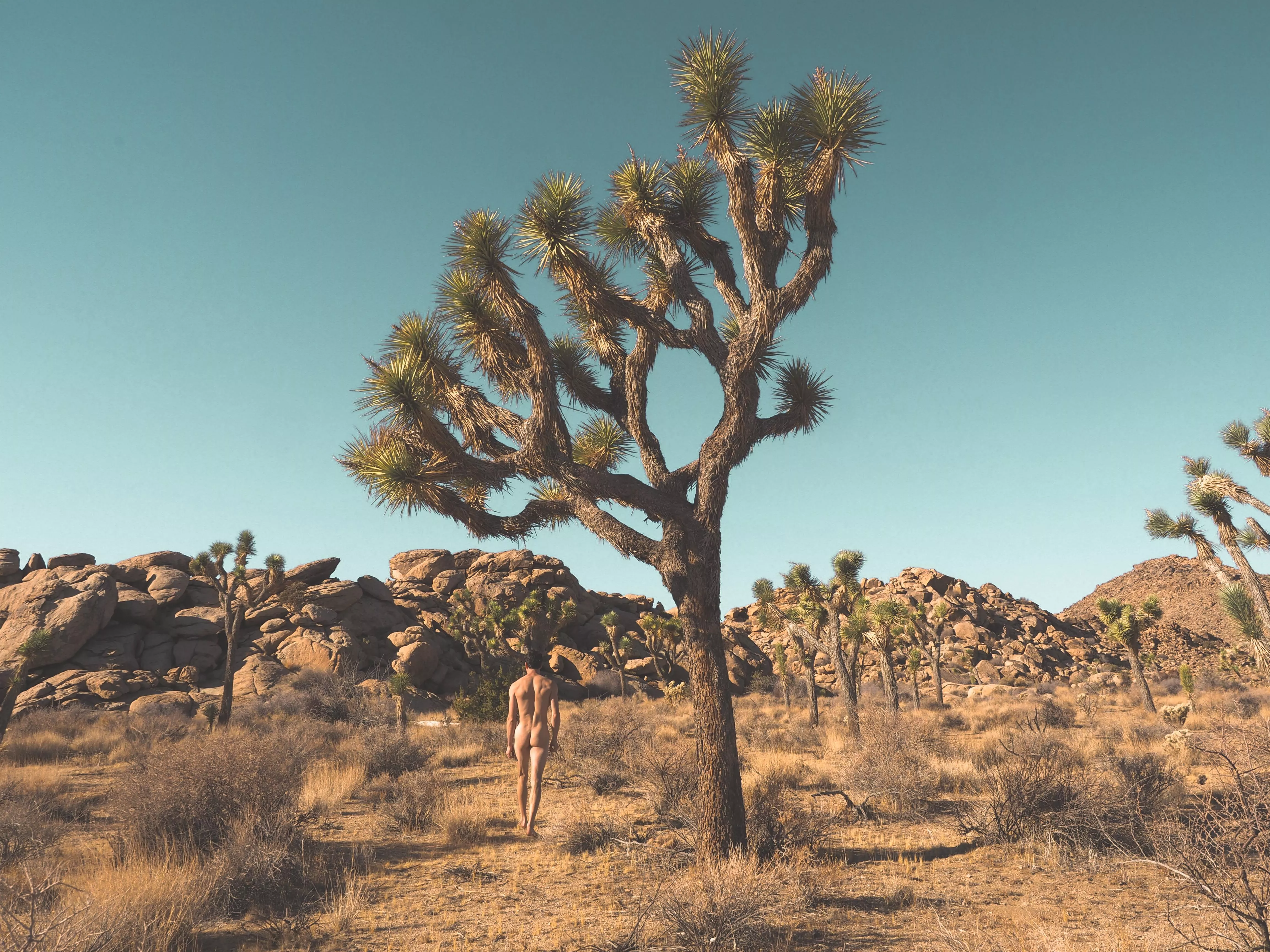 I want to run, I want to hide posted by 4_arms