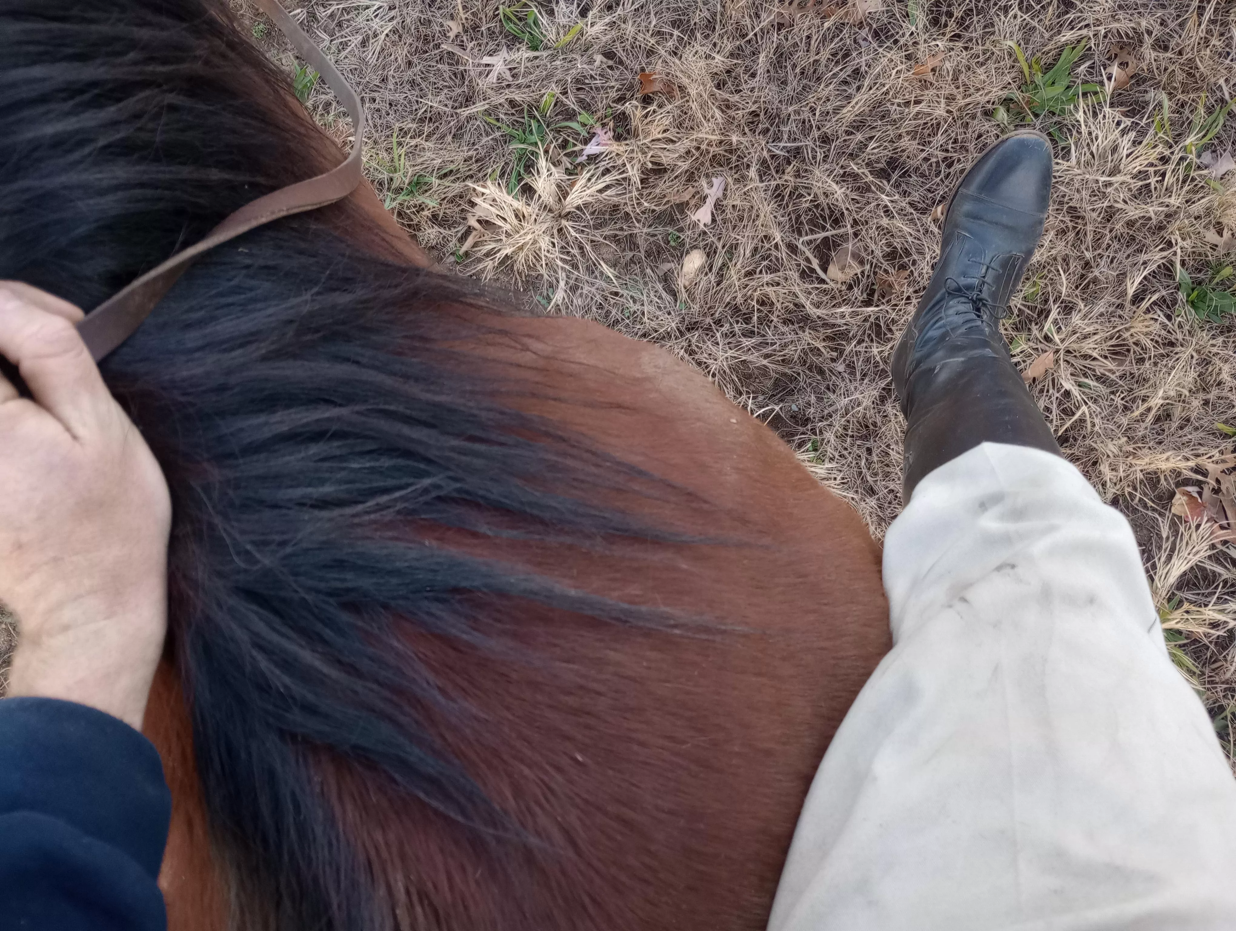 Just your average guy who enjoys a casual bare back ride. posted by TraditionalBasis4689