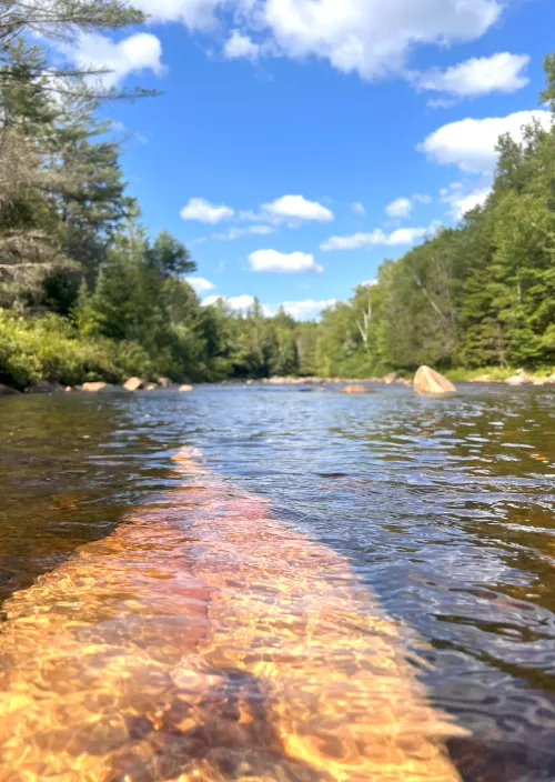 Longing for this again - a quick dip on a warm summer hike by Cali_Kiwi_89